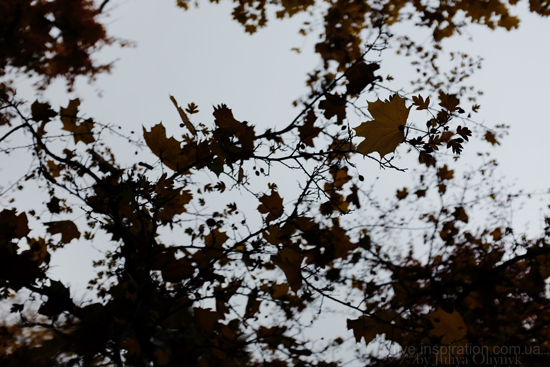 15.10.2013_autumn_x100s_8