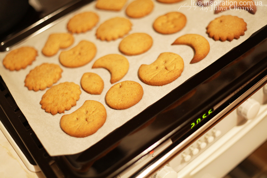 2.01.2013_cookies_7