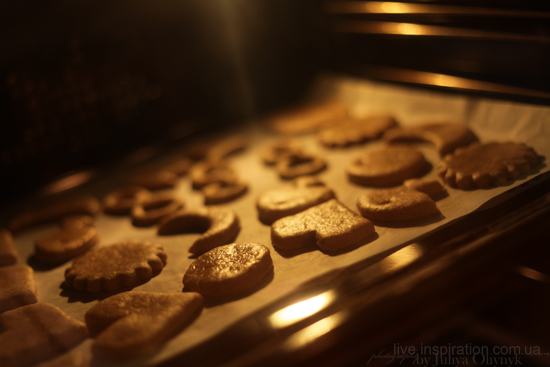 2.01.2013_cookies_8