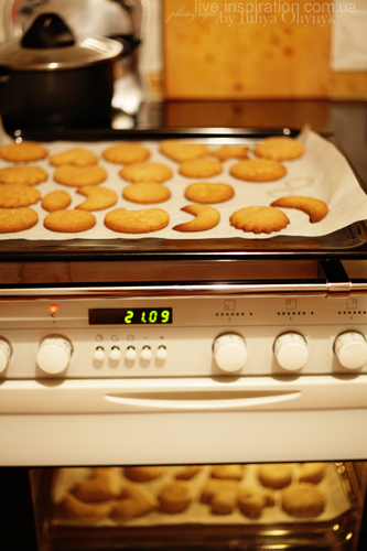 2.01.2013_cookies_9