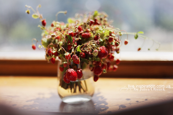 21.06.2014_strawberries_morning_1