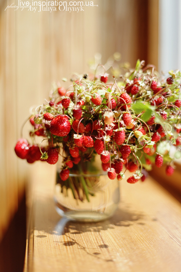 21.06.2014_strawberries_morning_3