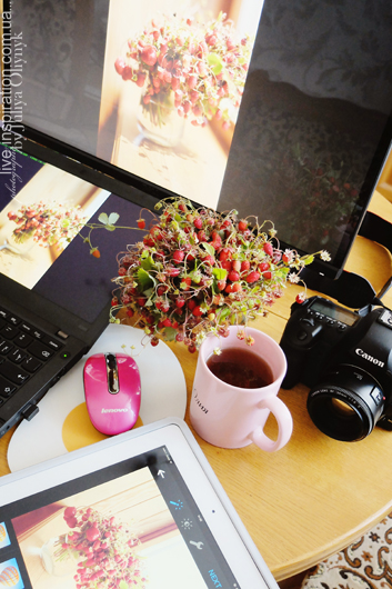 21.06.2014_strawberries_morning_7