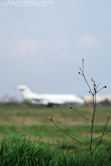 16.04.2015_iev_spotting_40